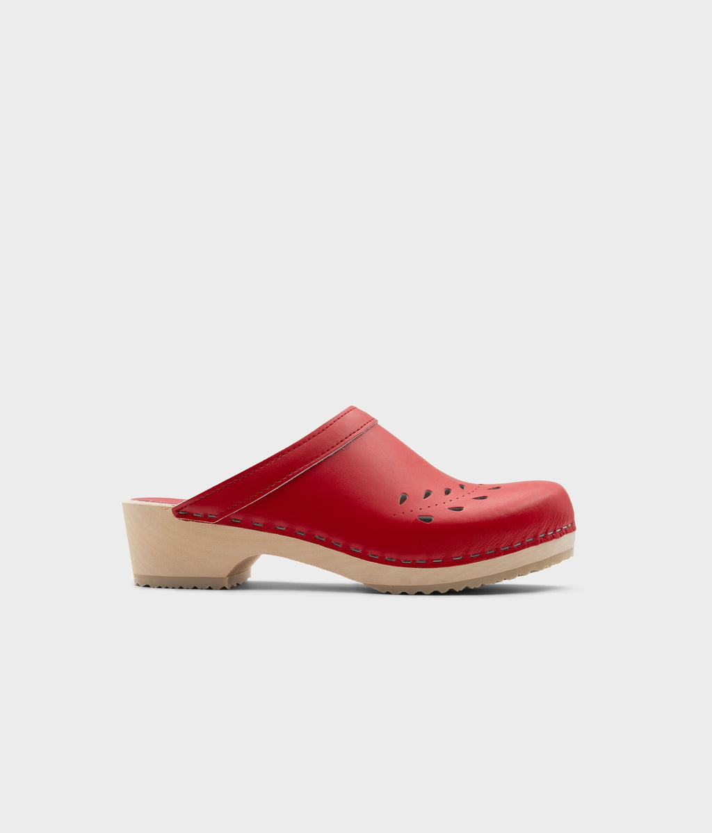 Blomma Lingonberry