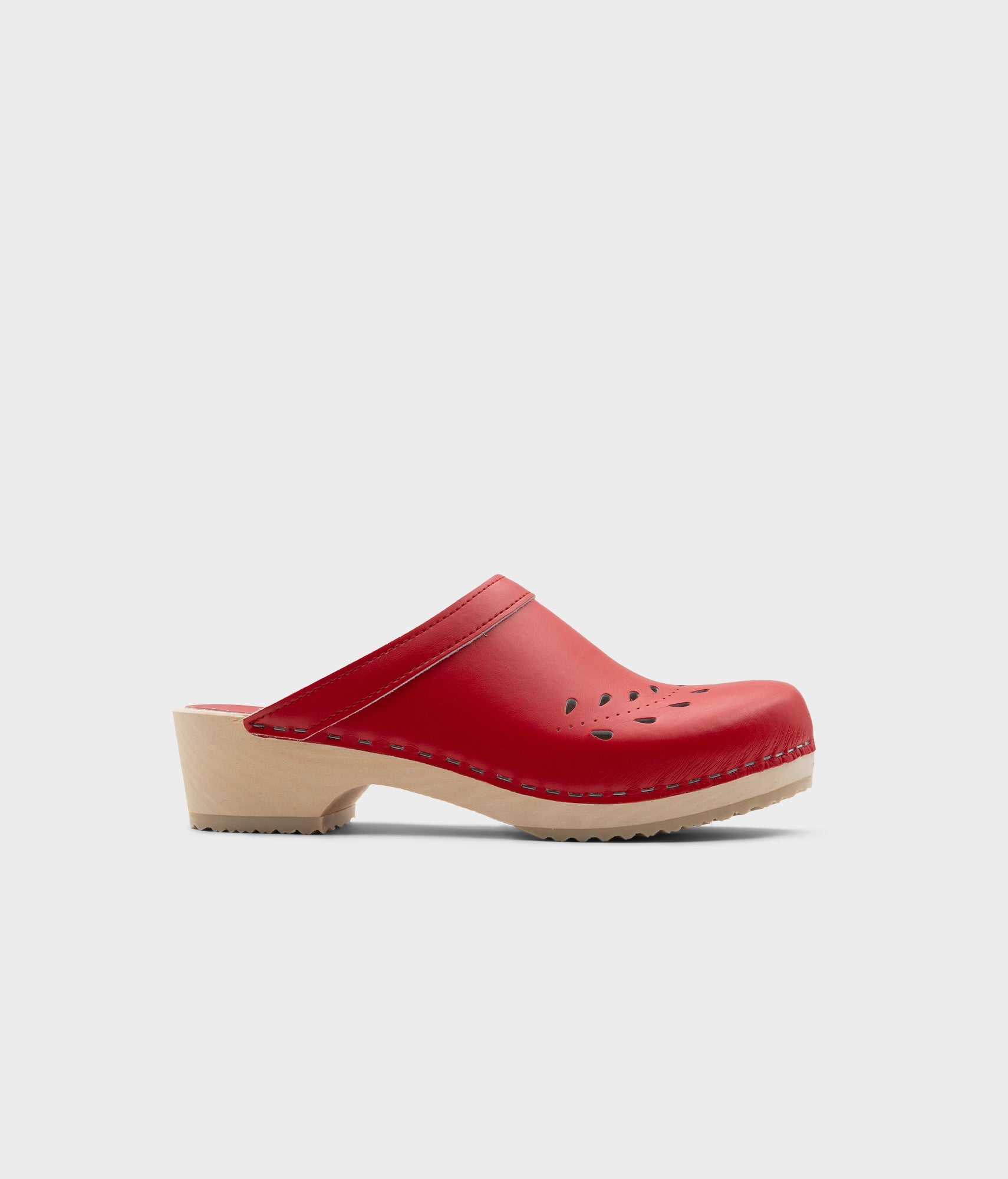 Blomma Lingonberry