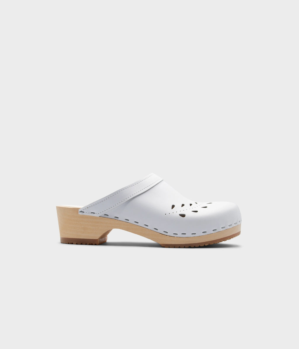 Blomma Snow