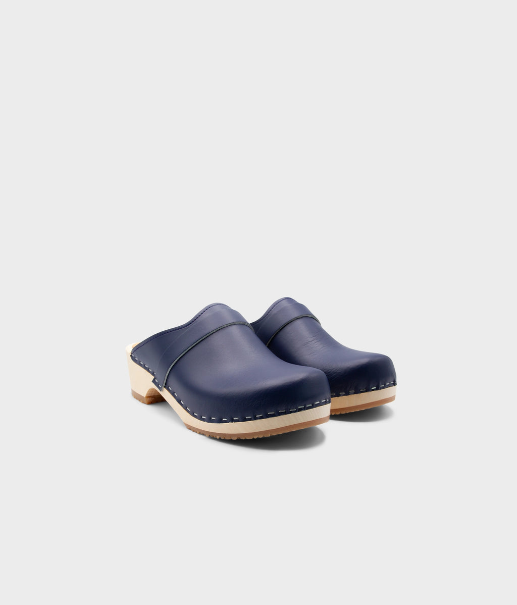 Ledig Blueberry